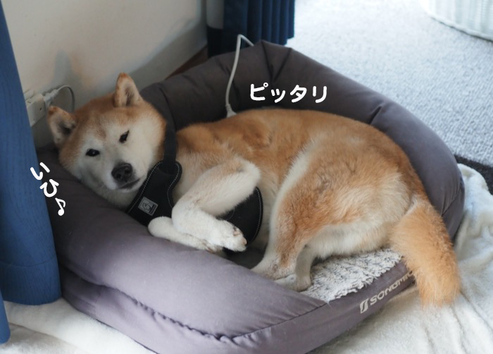 15日夜ブログ２