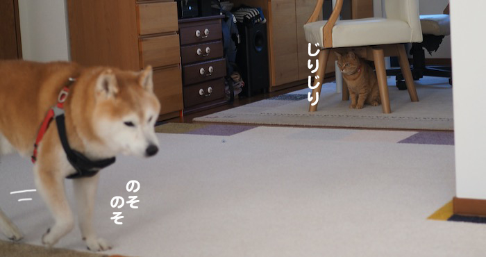 3日ブログ３