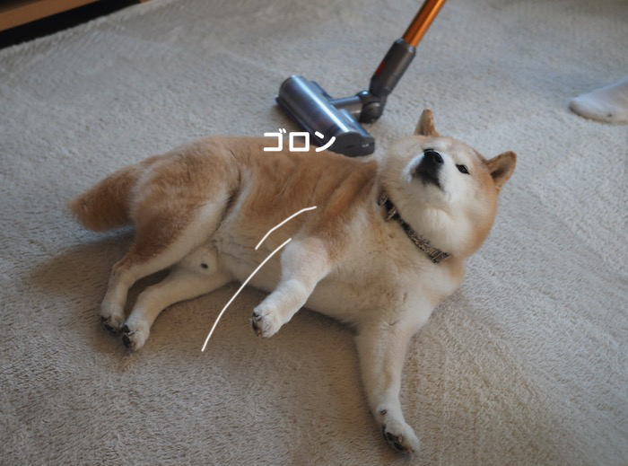 2日夕ブログ８