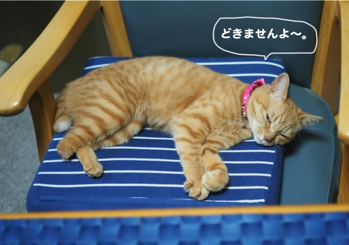 8日ブログ５