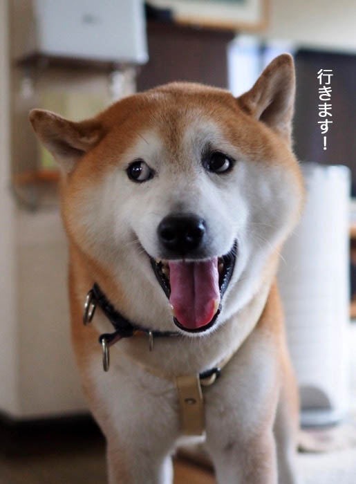 25日ブログ３