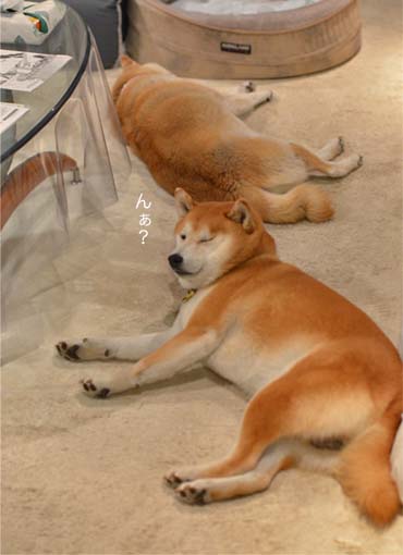 9日ブログ4.jpg