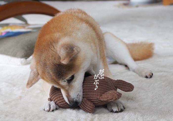 7日ブログ４