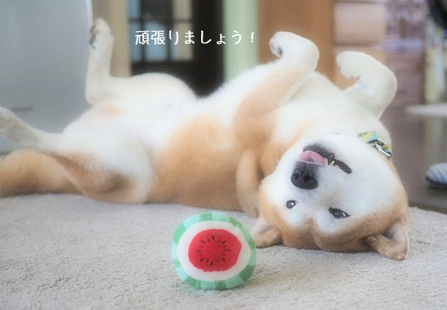 25日ブログ8