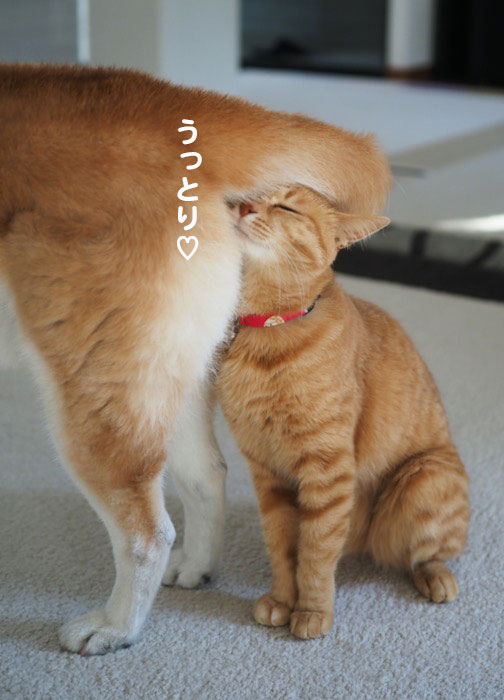 23日ブログ7
