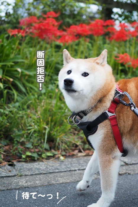 28日ブログ４