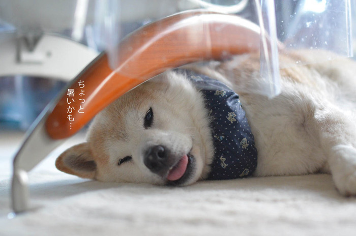 24日ブログ7
