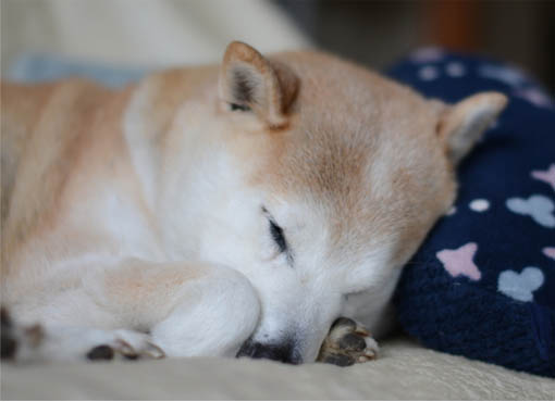 9日ブログ7.jpg