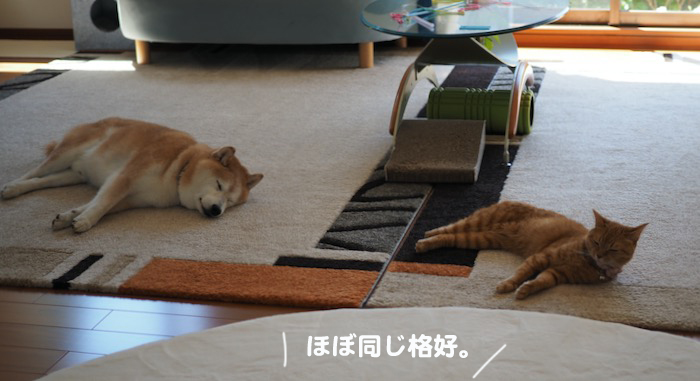 15日ブログ１