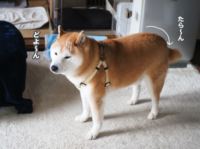 3日夕ブログ９