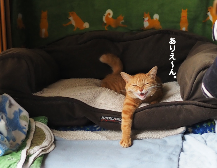 21日ブログ６