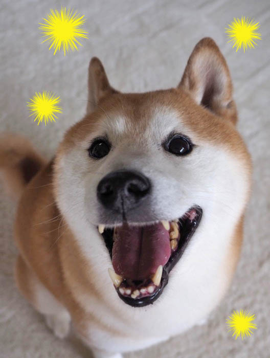 3日午後ブログ９