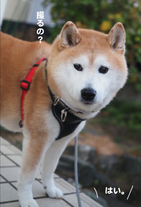 24日夕ブログ３