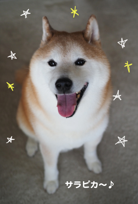 30日夕ブログ３