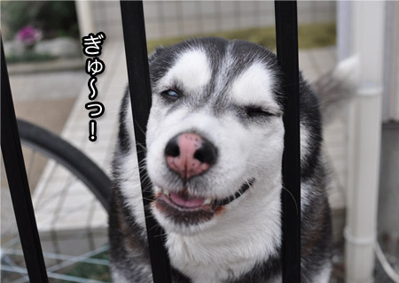 18日ブログ８.jpg
