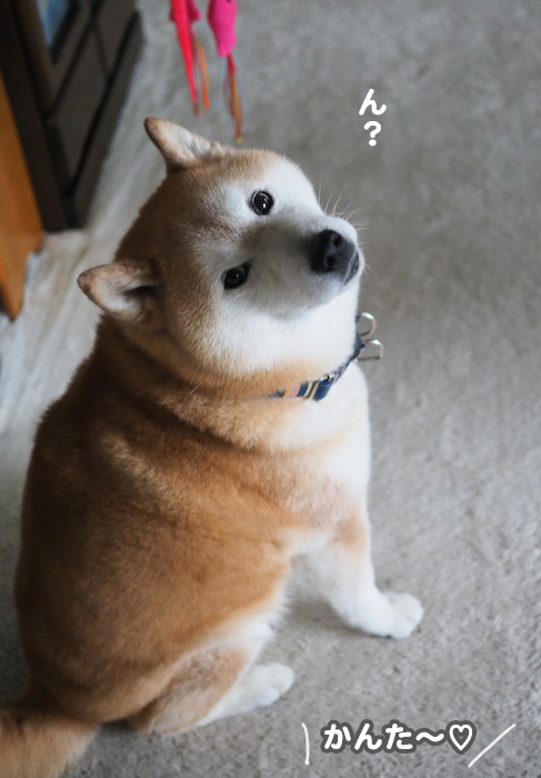 19日ブログ２