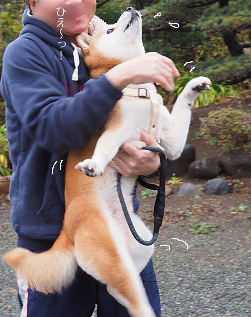 10日午前ブログ５