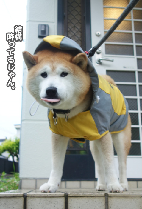 10日午後ブログ４