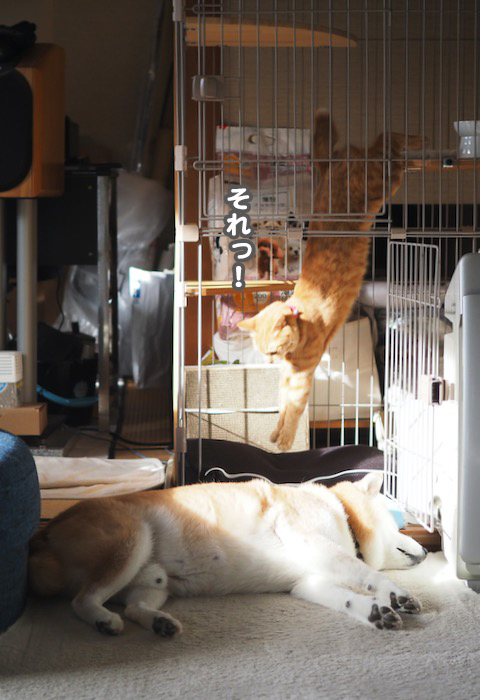 18日ブログ６