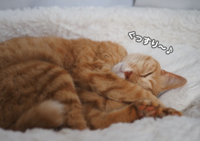 6日夕ブログ5