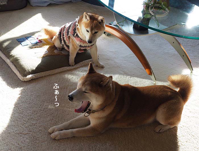 15日ブログ１