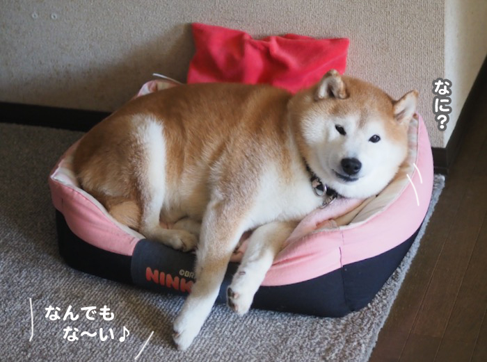 16日夕ブログ９