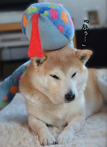 30日ブログ12.jpg