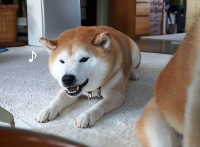 10日ブログ１