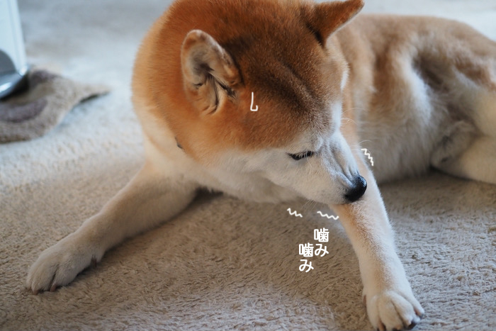 9日夜ブログ５