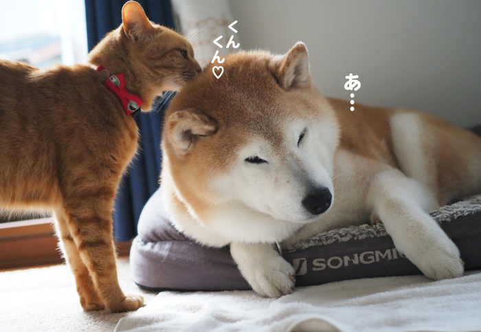 10日ブログ２