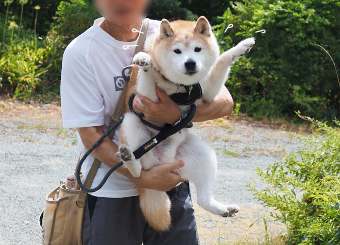 7日夜ブログ６
