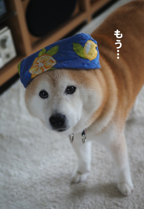 21日ブログ6