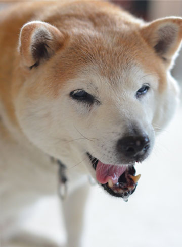 30日ブログ6.jpg
