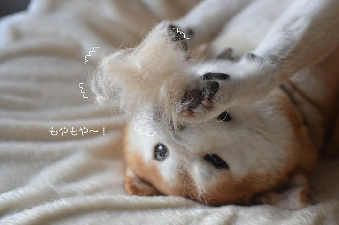 29日ブログ3