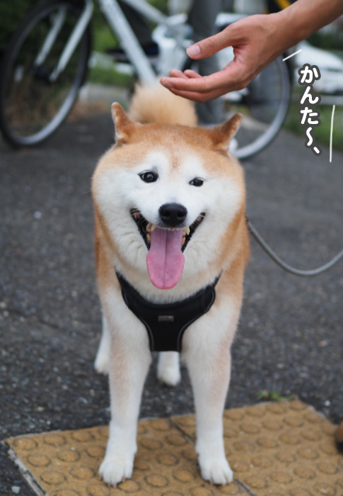 4日ブログ５