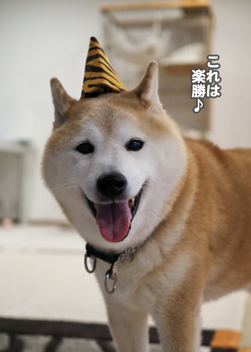 2日ブログ７