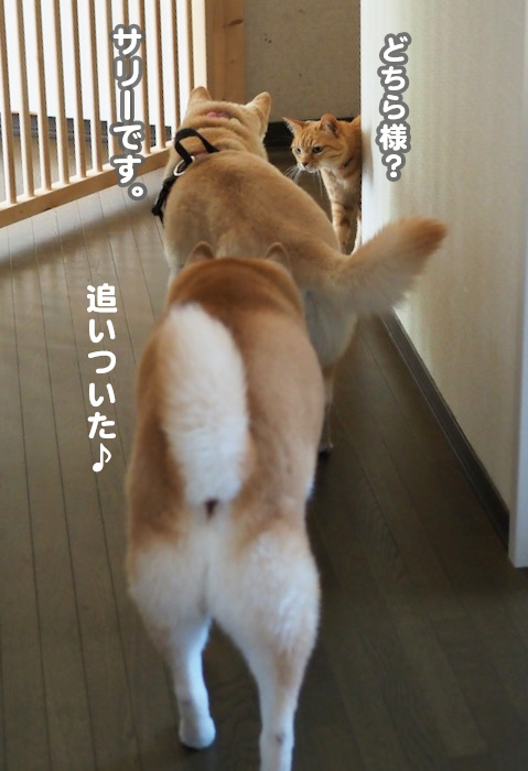 15日夕ブログ８