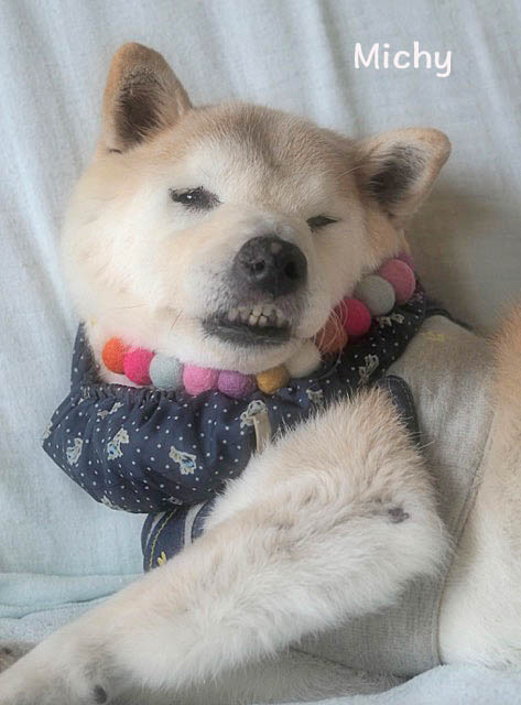 1日ブログ4