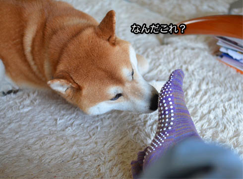 26日ブログ4.jpg