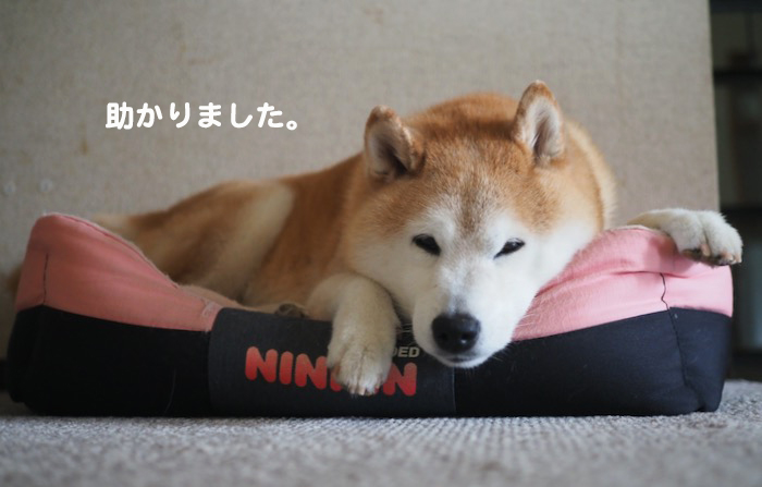4日ブログ２