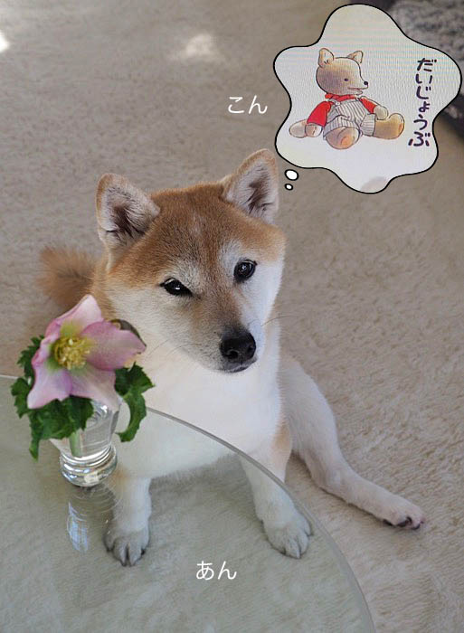 13日ブログ３