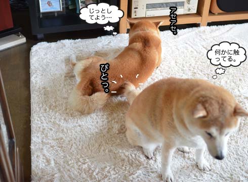 28日ブログ11.jpg