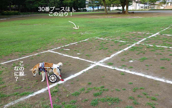 3日ブログ３