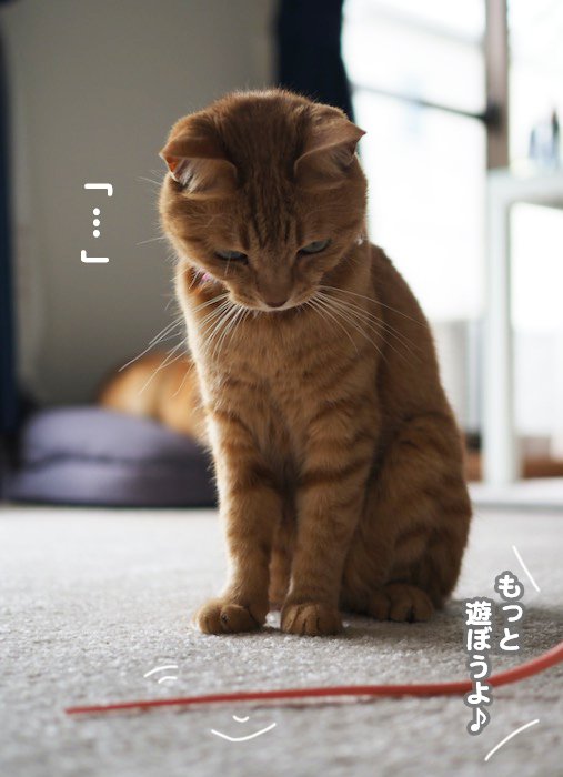 4日夕ブログ１２