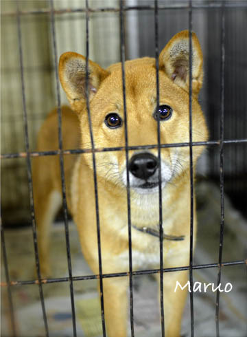 26日ブログ7.jpg