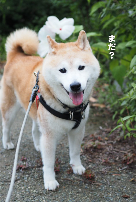 14日ブログ2