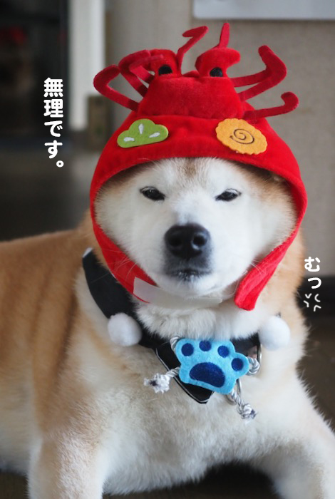4日夕ブログ４