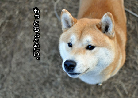 25日ブログ13.jpg