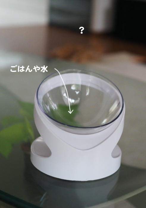 12日夕ブログ２