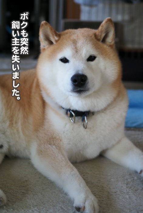 5日ブログ５